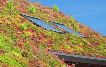 Gamston living roof systems